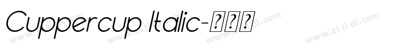 Cuppercup Italic字体转换